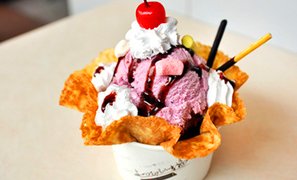 天津十二星座团购_360团购导航